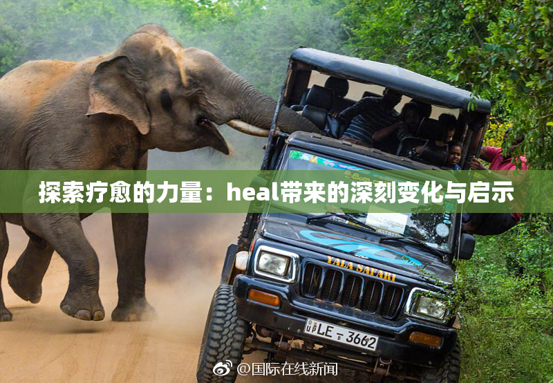 探索疗愈的力量：heal带来的深刻变化与启示