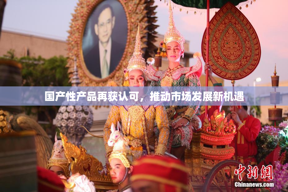 国产性产品再获认可，推动市场发展新机遇