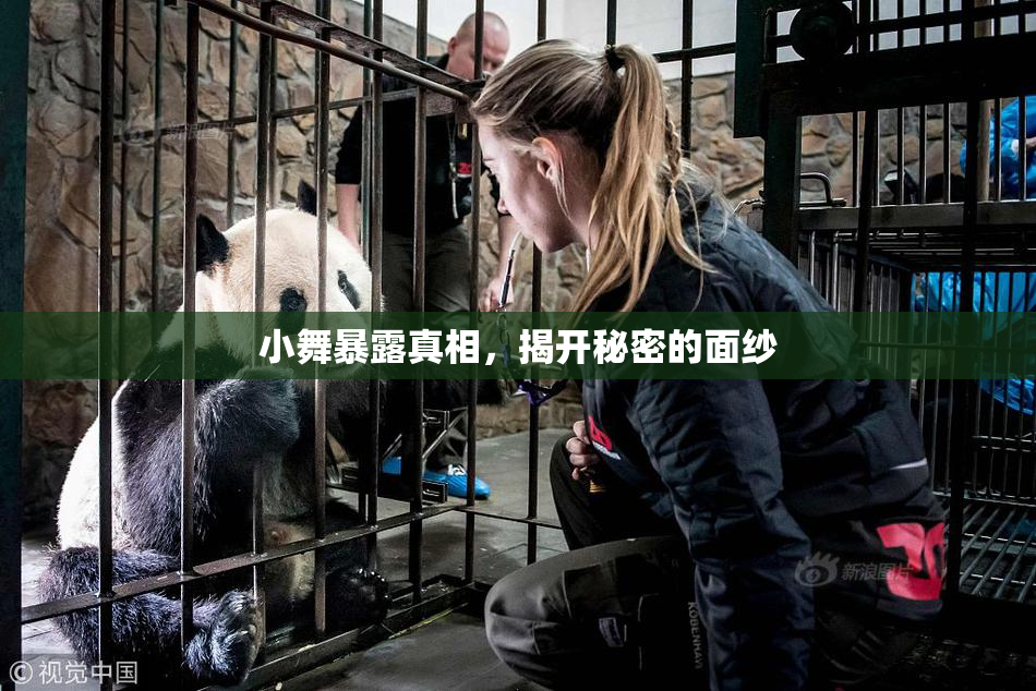 小舞暴露真相，揭开秘密的面纱