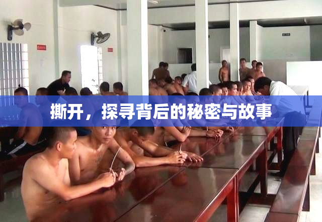 撕开，探寻背后的秘密与故事
