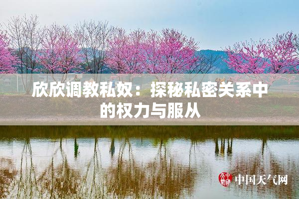 欣欣调教私奴：探秘私密关系中的权力与服从