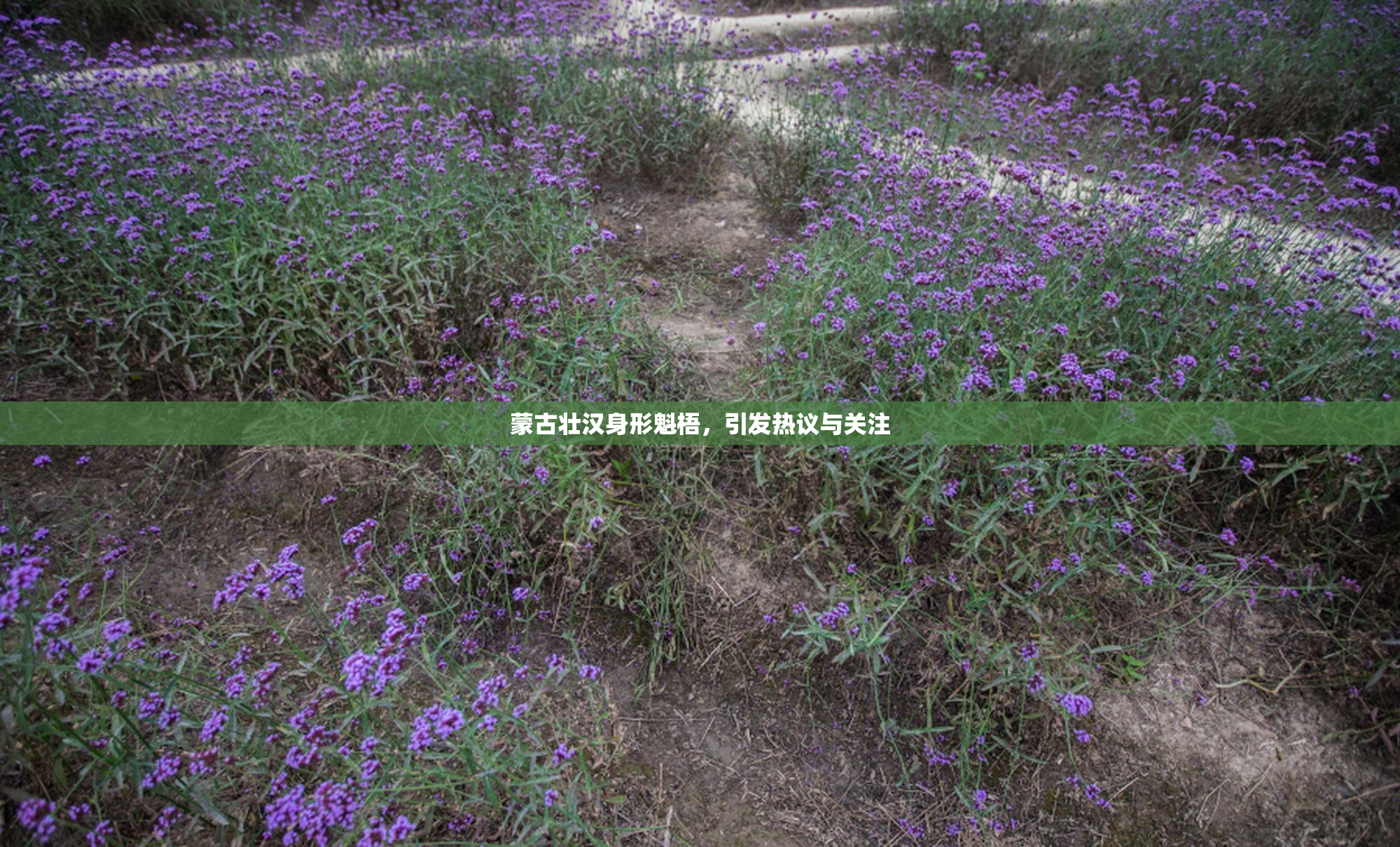 蒙古壮汉身形魁梧，引发热议与关注