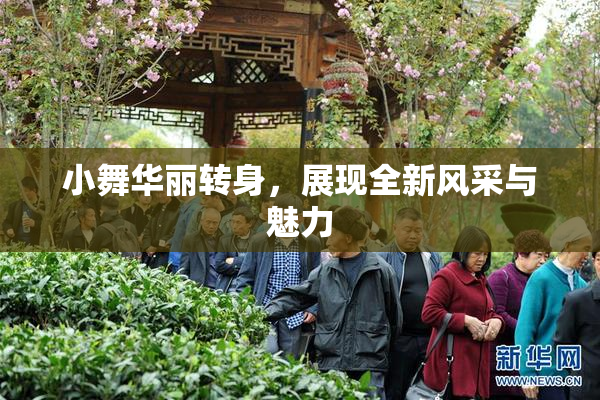 小舞华丽转身，展现全新风采与魅力