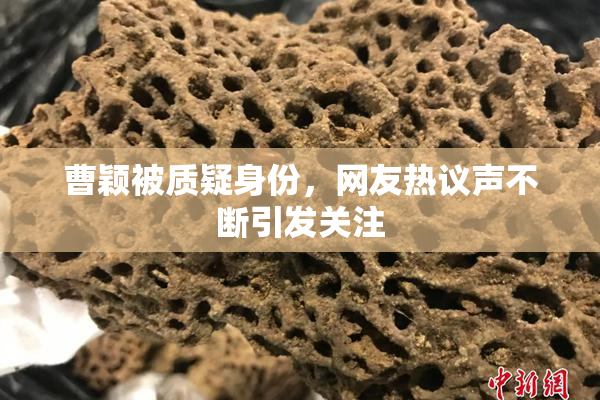 曹颖被质疑身份，网友热议声不断引发关注