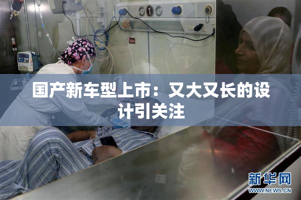 国产新车型上市：又大又长的设计引关注