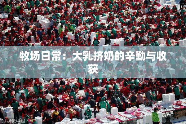 牧场日常：大乳挤奶的辛勤与收获