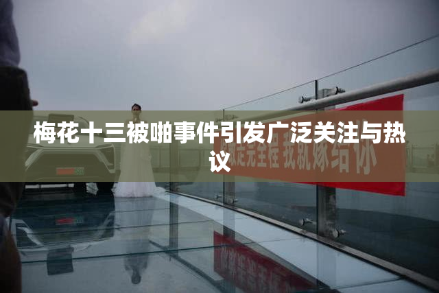 梅花十三被啪事件引发广泛关注与热议