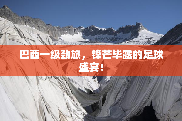 巴西一级劲旅，锋芒毕露的足球盛宴！