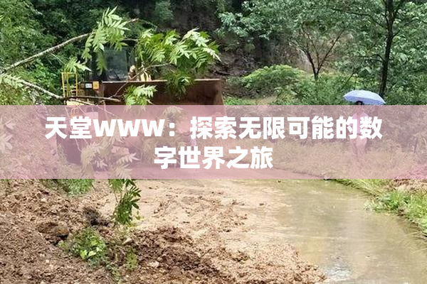 天堂WWW：探索无限可能的数字世界之旅