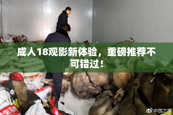 成人18观影新体验，重磅推荐不可错过！