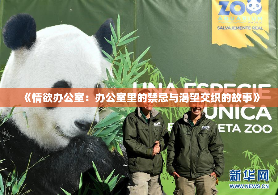 《情欲办公室：办公室里的禁忌与渴望交织的故事》
