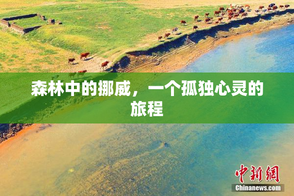 森林中的挪威，一个孤独心灵的旅程