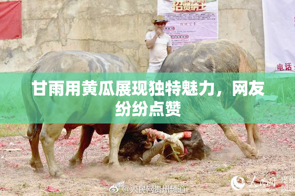 甘雨用黄瓜展现独特魅力，网友纷纷点赞