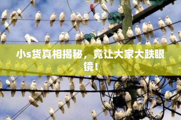 小s货真相揭秘，竟让大家大跌眼镜！