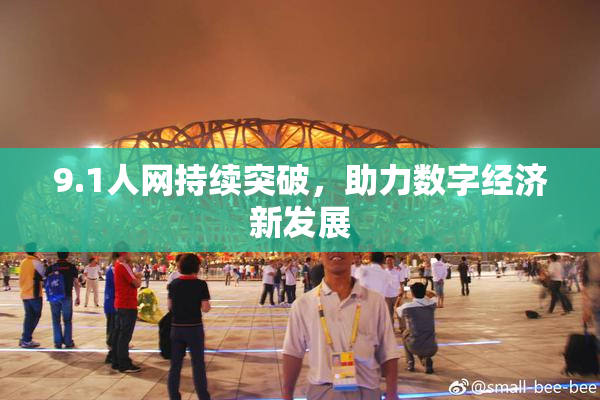 9.1人网持续突破，助力数字经济新发展