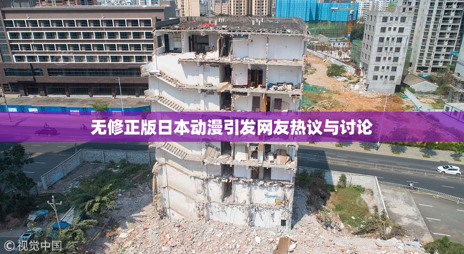 无修正版日本动漫引发网友热议与讨论