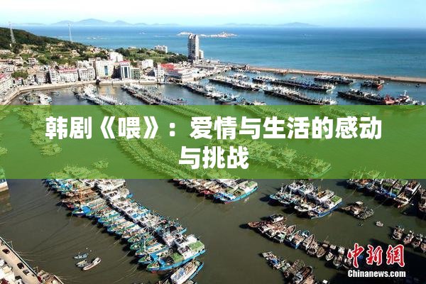 韩剧《喂》：爱情与生活的感动与挑战