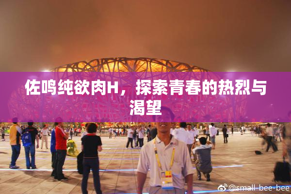 佐鸣纯欲肉H，探索青春的热烈与渴望