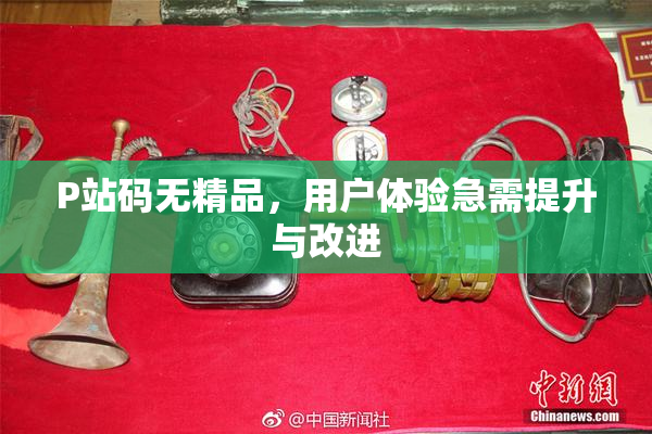 P站码无精品，用户体验急需提升与改进