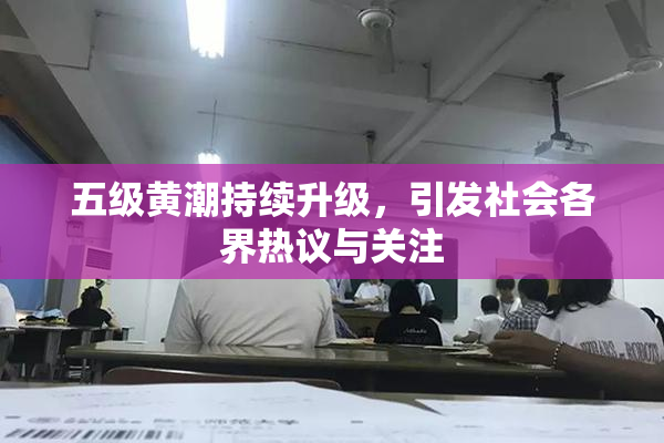 五级黄潮持续升级，引发社会各界热议与关注