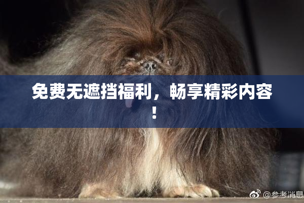 免费无遮挡福利，畅享精彩内容！