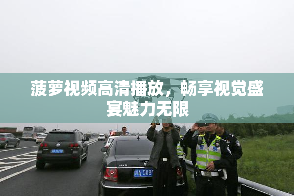 菠萝视频高清播放，畅享视觉盛宴魅力无限