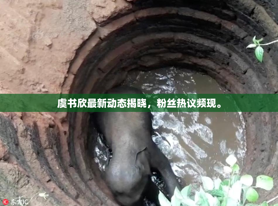 虞书欣最新动态揭晓，粉丝热议频现。