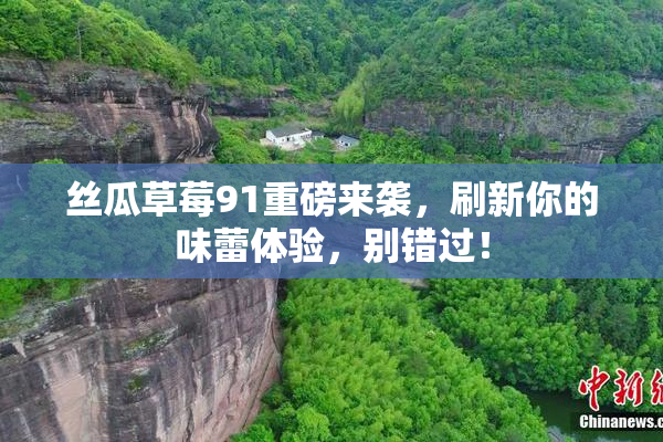 丝瓜草莓91重磅来袭，刷新你的味蕾体验，别错过！