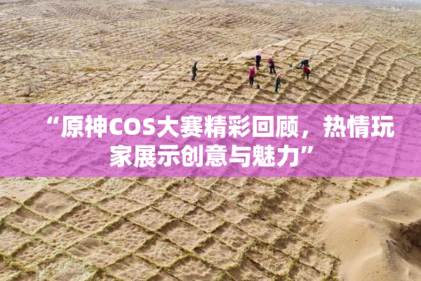 “原神COS大赛精彩回顾，热情玩家展示创意与魅力”