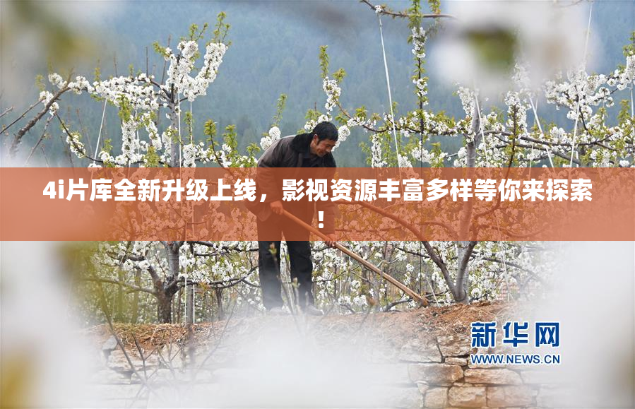 4i片库全新升级上线，影视资源丰富多样等你来探索！