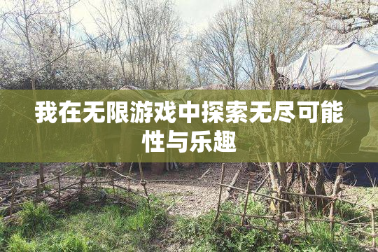 我在无限游戏中探索无尽可能性与乐趣