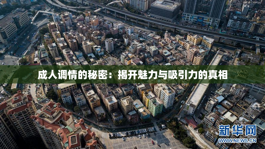 成人调情的秘密：揭开魅力与吸引力的真相