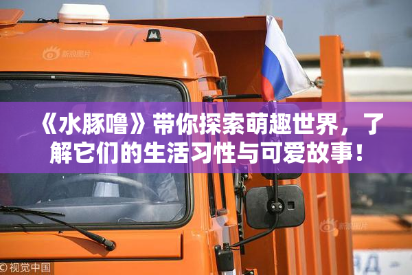 《水豚噜》带你探索萌趣世界，了解它们的生活习性与可爱故事！