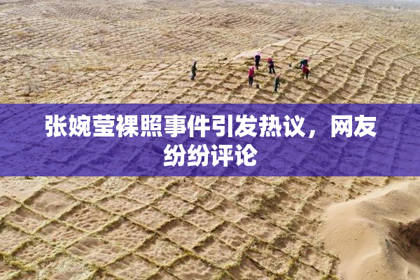 张婉莹裸照事件引发热议，网友纷纷评论