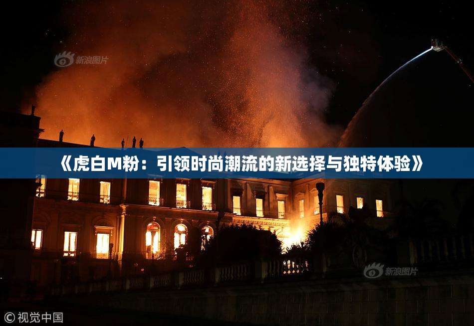 《虎白M粉：引领时尚潮流的新选择与独特体验》