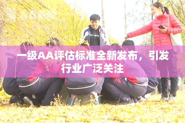 一级AA评估标准全新发布，引发行业广泛关注