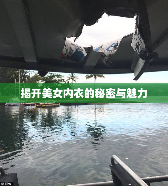 揭开美女内衣的秘密与魅力