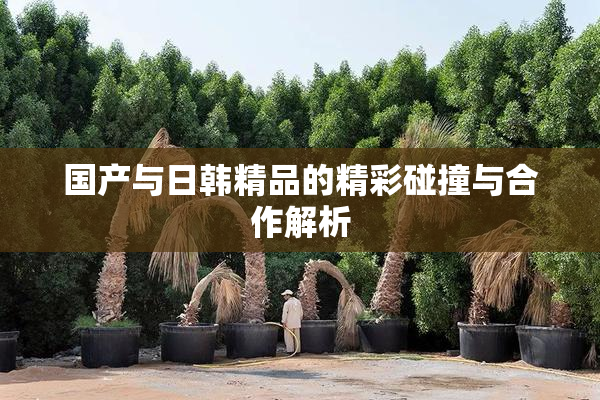 国产与日韩精品的精彩碰撞与合作解析