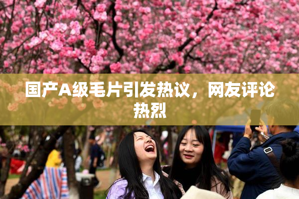 国产A级毛片引发热议，网友评论热烈