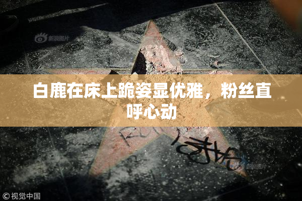白鹿在床上跪姿显优雅，粉丝直呼心动
