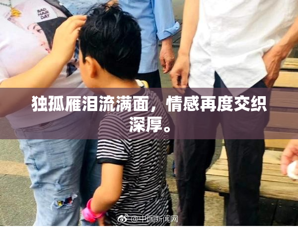 独孤雁泪流满面，情感再度交织深厚。