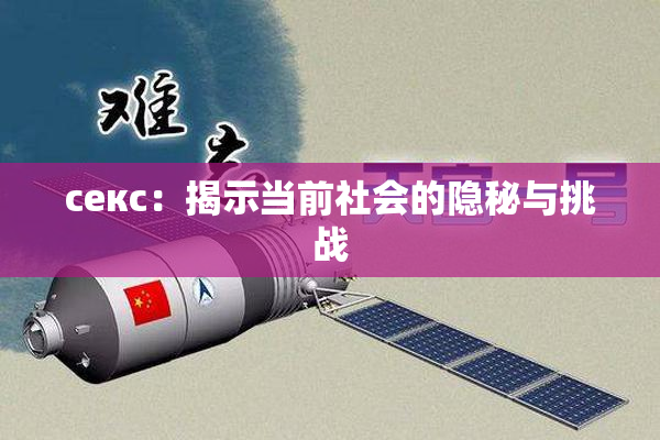 ceкс：揭示当前社会的隐秘与挑战