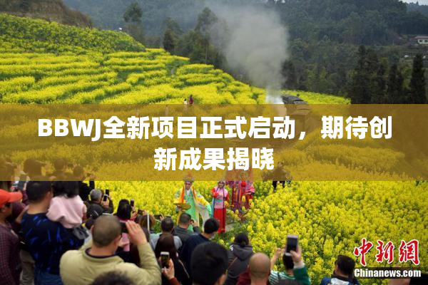 BBWJ全新项目正式启动，期待创新成果揭晓