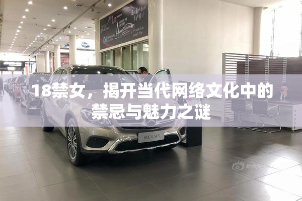 18禁女，揭开当代网络文化中的禁忌与魅力之谜