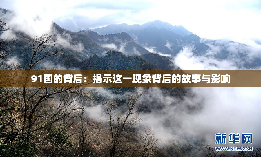 91国的背后：揭示这一现象背后的故事与影响