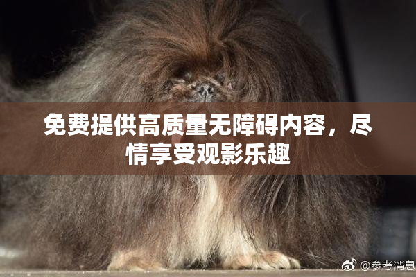 免费提供高质量无障碍内容，尽情享受观影乐趣