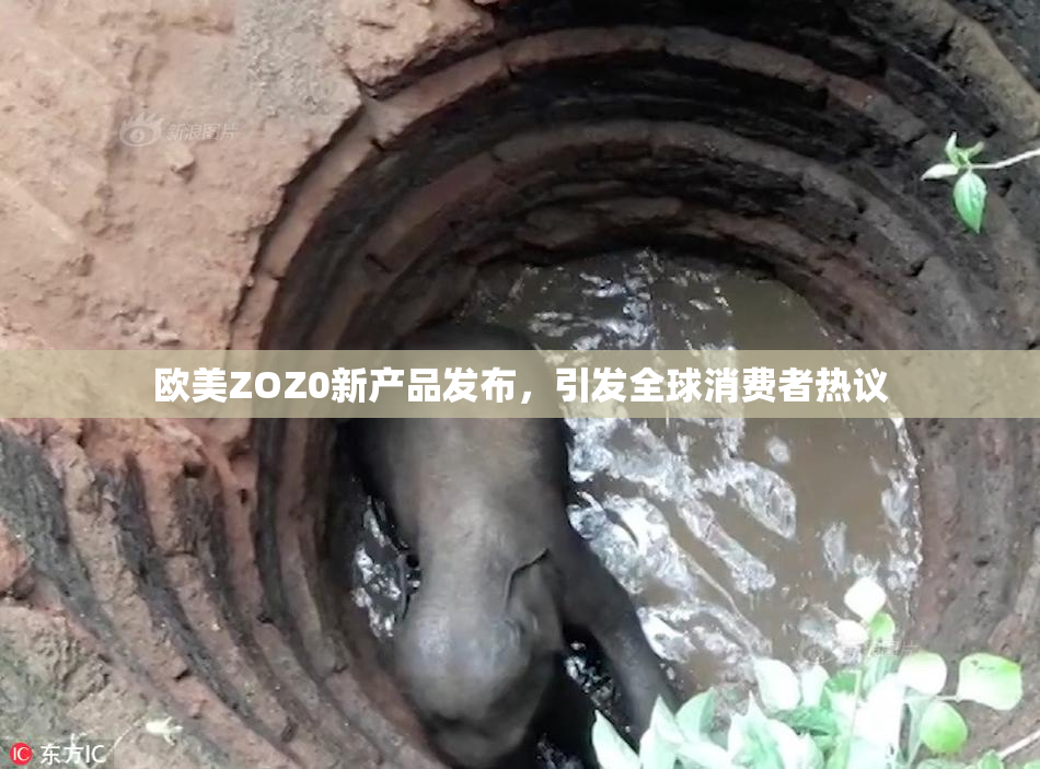 欧美ZOZ0新产品发布，引发全球消费者热议