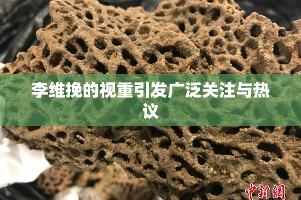 李维挽的视重引发广泛关注与热议