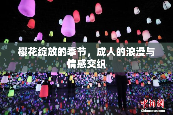 樱花绽放的季节，成人的浪漫与情感交织