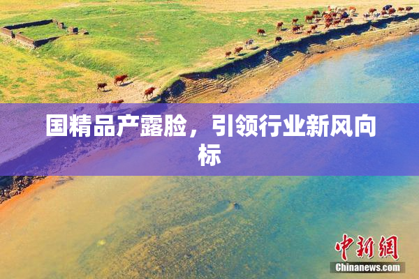 国精品产露脸，引领行业新风向标